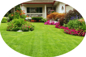 Firma Louka - Tomáš Loukota Firma Louka - Tomáš Loukota